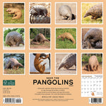 Pangolins (Save the) 2024 12" x 12" Wall Calendar