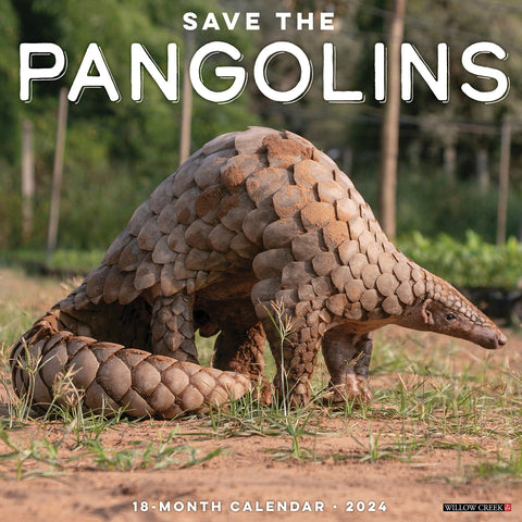 Pangolins (Save the) 2024 12" x 12" Wall Calendar