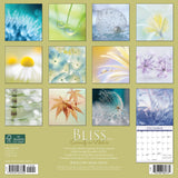 Bliss—Serenity in Nature 2024 12" x 12" Wall Calendar