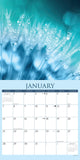 Bliss—Serenity in Nature 2024 12" x 12" Wall Calendar