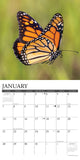 Monarch Butterflies 2024 12" x 12" Wall Calendar