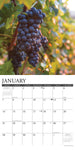 Vineyards 2024 12" x 12" Wall Calendar