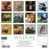 Wildlife 2024 12" x 12" Wall Calendar
