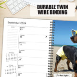 Crusoe the Celebrity Dachshund 2024 6.5" x 8.5" Engagement Calendar