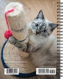 What Cats Teach Us 2024 6.5" x 8.5" Engagement Calendar