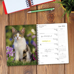 What Cats Teach Us 2024 6.5" x 8.5" Engagement Calendar