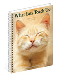 What Cats Teach Us 2024 6.5" x 8.5" Engagement Calendar