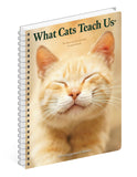 What Cats Teach Us 2024 6.5" x 8.5" Engagement Calendar