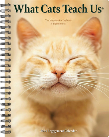 What Cats Teach Us 2024 6.5" x 8.5" Engagement Calendar