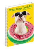 What Dogs Teach Us 2024 6.5" x 8.5" Engagement Calendar
