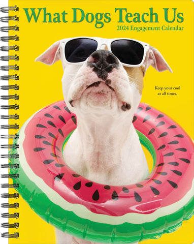 What Dogs Teach Us 2024 6.5" x 8.5" Engagement Calendar