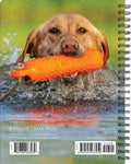 What Labs Teach Us 2024 6.5" x 8.5" Engagement Calendar