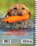 What Labs Teach Us 2024 6.5" x 8.5" Engagement Calendar