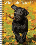 What Labs Teach Us 2024 6.5" x 8.5" Engagement Calendar