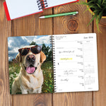What Labs Teach Us 2024 6.5" x 8.5" Engagement Calendar