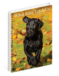 What Labs Teach Us 2024 6.5" x 8.5" Engagement Calendar