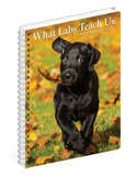 What Labs Teach Us 2024 6.5" x 8.5" Engagement Calendar