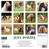 Ponies 2024 12" x 12" Wall Calendar