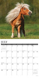 Ponies 2024 12" x 12" Wall Calendar