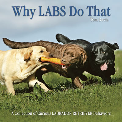 Why Labs Do That Book