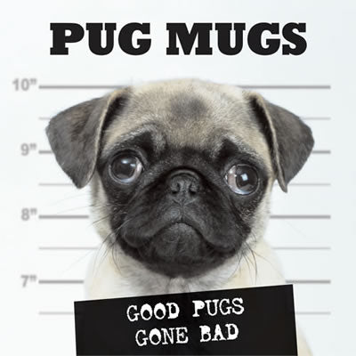 Pug Mugs Book