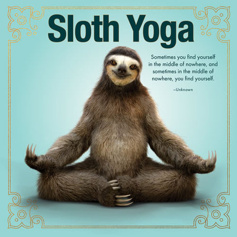 Sloth Yoga Book