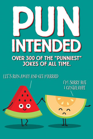 Pun Intended Book