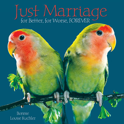 Just Marriage Book