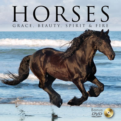 Horses Book