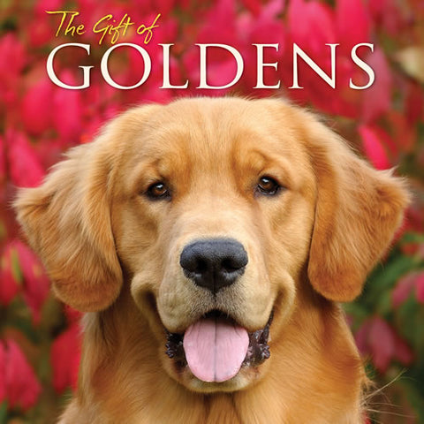 The Gift Of Goldens Book
