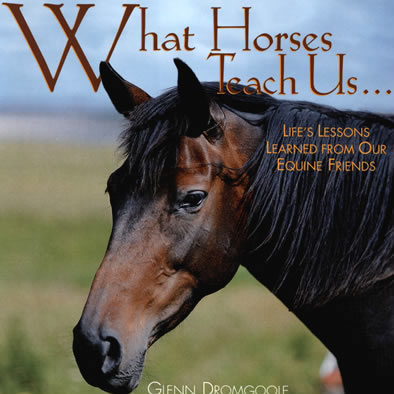 What Horses Teach Us® Book